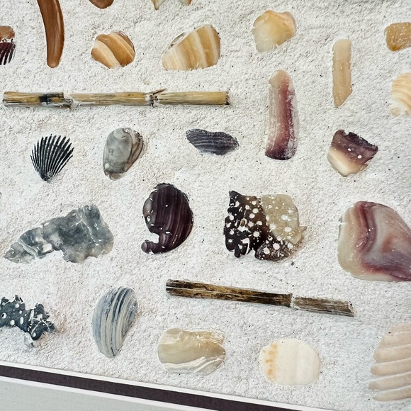 Coastal Eclectic Shell Wall Art, Outerbanks Seashells Beachy Home Decor Painting - Picture 2 of 6